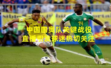 中国国奥队关键战役直播引发球迷热切关注