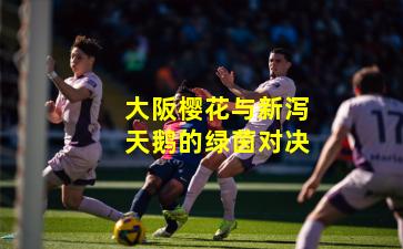 大阪樱花与新泻天鹅的绿茵对决