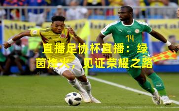 直播足协杯直播：绿茵烽火，见证荣耀之路