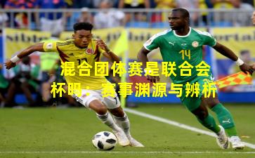 混合团体赛是联合会杯吗:赛事渊源与辨析