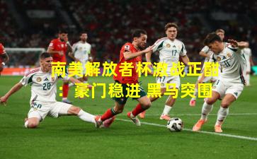 南美解放者杯激战正酣：豪门稳进 黑马突围