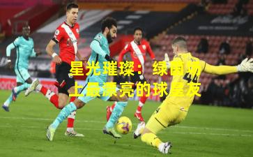 星光璀璨:绿茵场上最漂亮的球星友