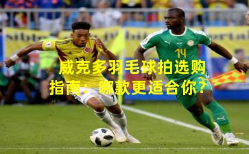 威克多羽毛球拍选购指南：哪款更适合你？