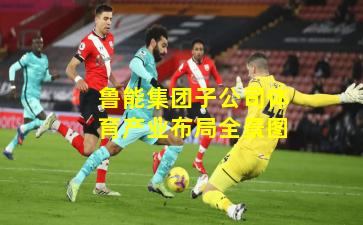 鲁能集团子公司体育产业布局全景图