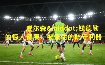 威尔森·钱德勒的惊人臂展：被低估的防守利器